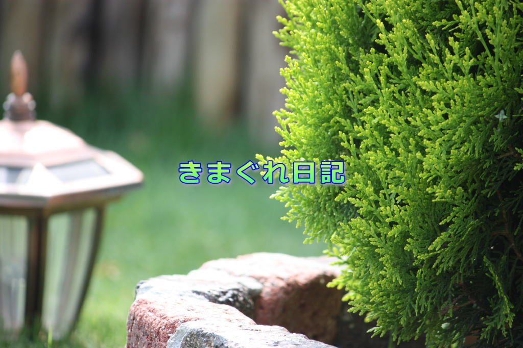 きまぐれ日記